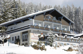 Haus Alpina, Radstadt, Österreich